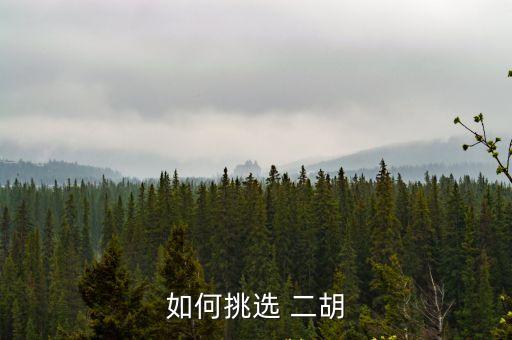如何挑選 二胡