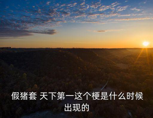假豬套天下第一,假豬套容易獲取價(jià)價(jià)比超高!!