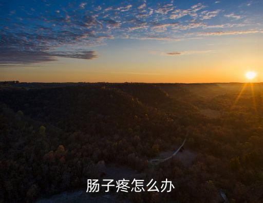 腸子疼怎么辦