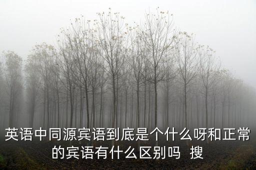 英語中同源賓語到底是個什么呀和正常的賓語有什么區(qū)別嗎  搜