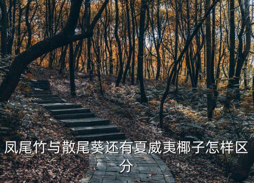 鳳尾竹與散尾葵還有夏威夷椰子怎樣區分