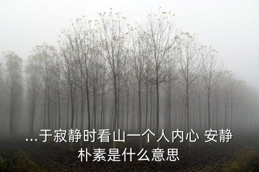 豐富的安靜,梁文輝《在人間】有錢安靜，生活自然順暢富足