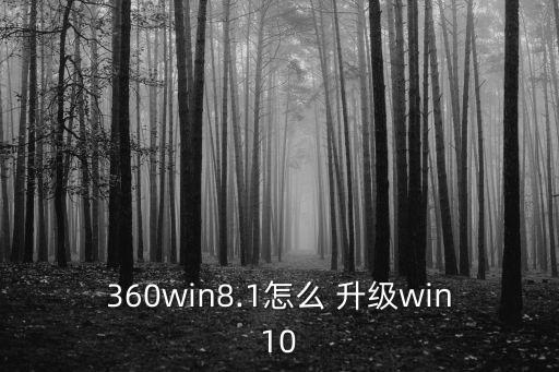 360win10升級助手,微軟win10升級助手如何使用?