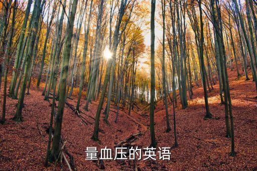 血壓英文，量血壓用英語怎么說