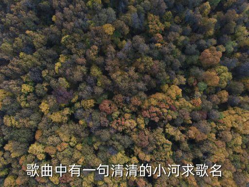 歌曲中有一句清清的小河求歌名