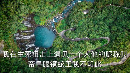 我在生死狙擊上遇見一個人他的昵稱叫帝皇眼鏡蛇王我不知此