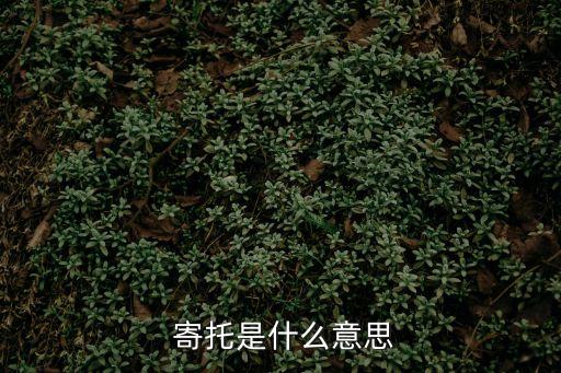 寄托近義詞,第一堂課:為孩子樹立榜樣寄托
