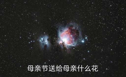 母親節(jié)送給母親什么花