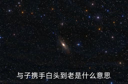 與子攜手白頭到老是什么意思