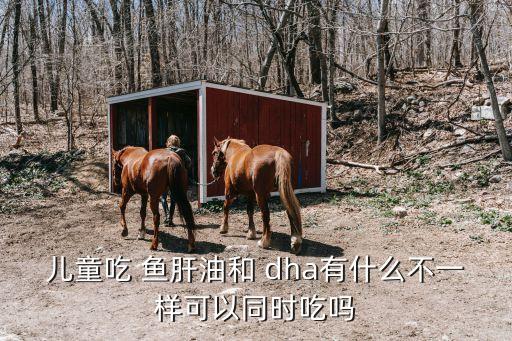 兒童吃 魚肝油和 dha有什么不一樣可以同時(shí)吃嗎