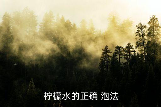  檸檬水的正確 泡法
