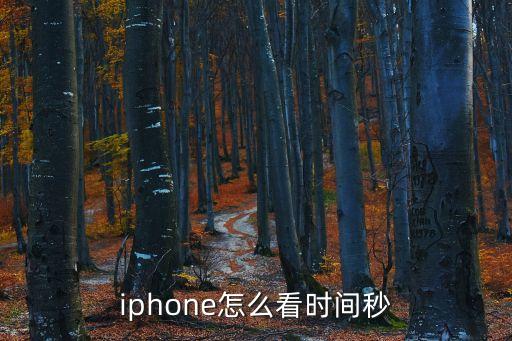 北京時間秒表,北京時間校準(zhǔn)毫秒在線倒計時