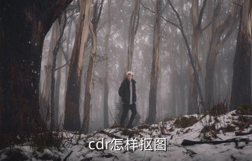  cdr怎樣摳圖