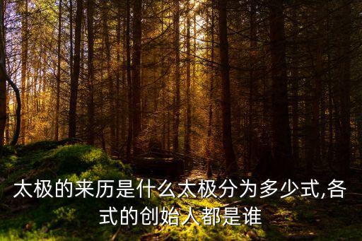 五式太極拳,太極拳起源于元末明初