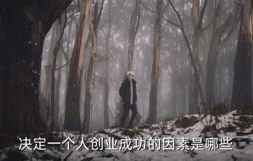 決定一個人創(chuàng)業(yè)成功的因素是哪些