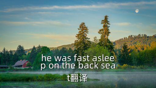 he was fast asleep on the back seat翻譯