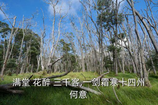 滿堂 花醉 三千客,一劍霜寒十四州何意