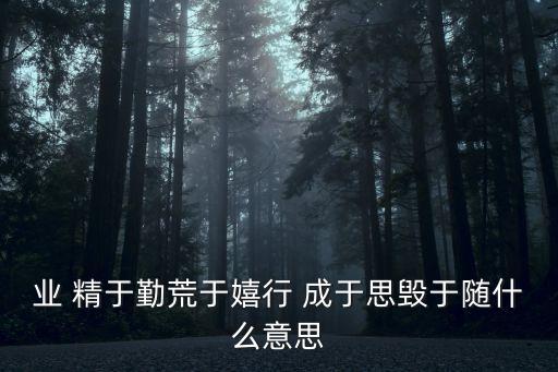 業 精于勤荒于嬉行 成于思毀于隨什么意思