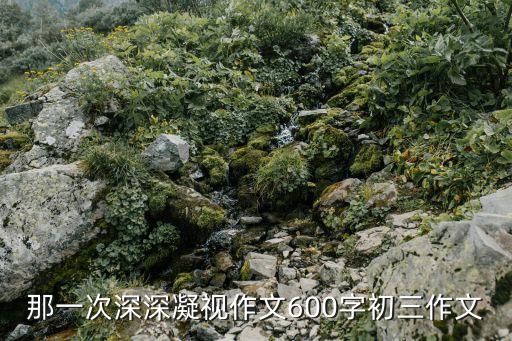 那一次深深凝視作文600字初三作文