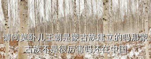 莫臥兒帝國，莫臥兒帝國中的莫臥兒是什么含義