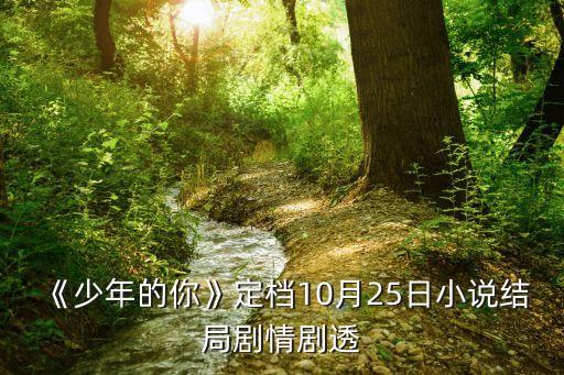 《少年的你》定檔10月25日小說結(jié)局劇情劇透