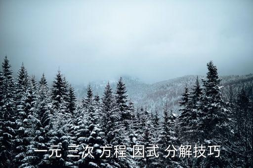  一元 三次 方程 因式 分解技巧