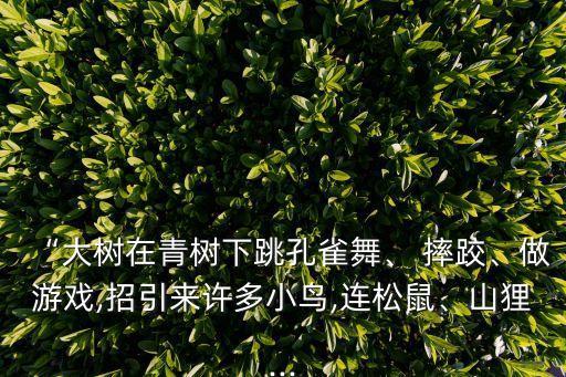“大樹在青樹下跳孔雀舞、 摔跤、做游戲,招引來許多小鳥,連松鼠、山貍...