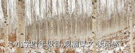 觀潮讀后感,第一堂課:從頭到尾欣賞潮水漲潮的景象