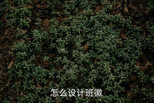 怎么設計班徽