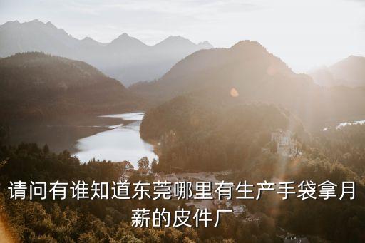 請問有誰知道東莞哪里有生產手袋拿月薪的皮件廠
