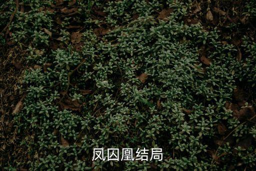 鳳囚凰結局