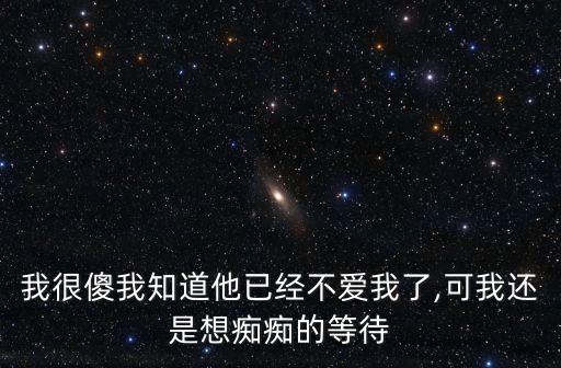我很傻我知道他已經不愛我了,可我還是想癡癡的等待