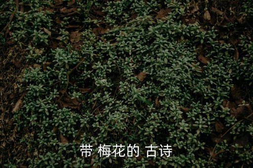 帶 梅花的 古詩