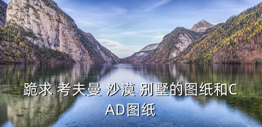 跪求 考夫曼 沙漠 別墅的圖紙和CAD圖紙
