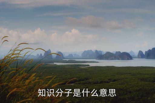 知識(shí)分子是什么意思