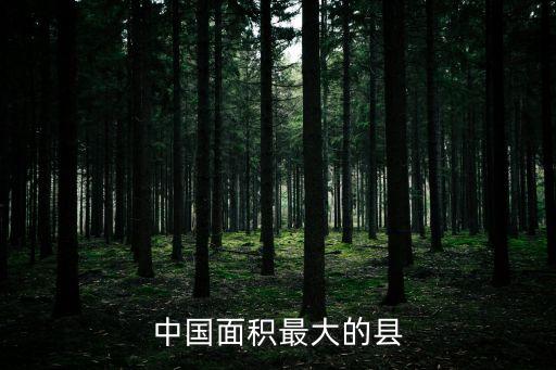 中國(guó)面積最大的縣