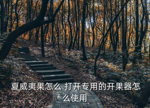 夏威夷果怎么打開,夏威夷水果四分之一被撬開后果肉無法取出