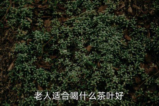 老人適合喝什么茶葉好