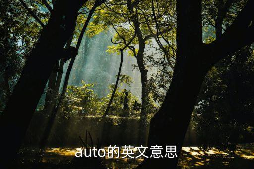 auto的英文意思