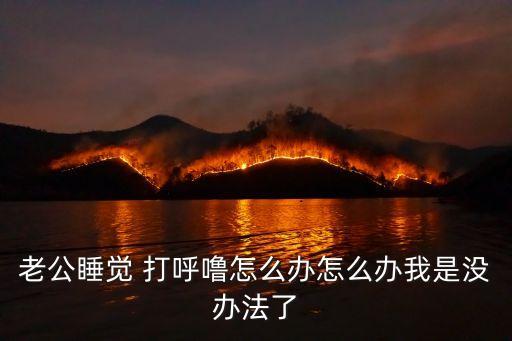 老公睡覺 打呼嚕怎么辦怎么辦我是沒辦法了
