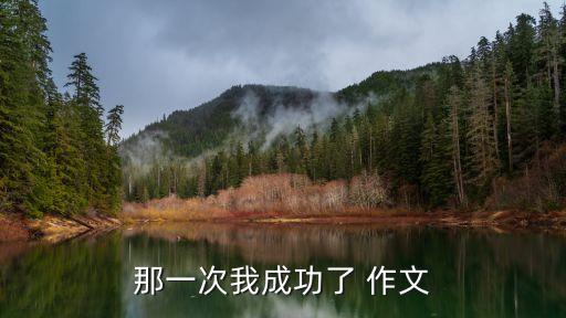 那一次我成功了，那次我成功了作文400字左右