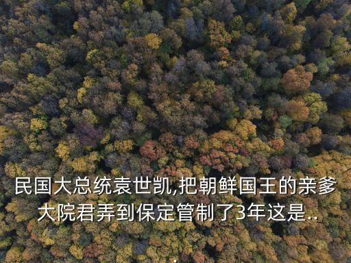 民國大總統袁世凱,把朝鮮國王的親爹 大院君弄到保定管制了3年這是...