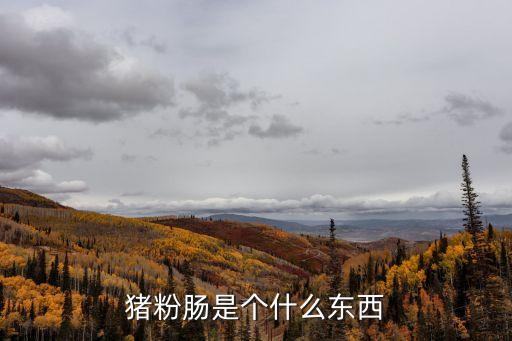 豬腸粉,豬腸粉步驟!