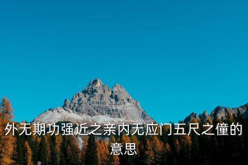 內無應門五尺之僮，外無期功強近之親內無應門五尺之僮的意思