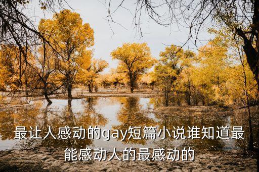 最讓人感動的gay短篇小說誰知道最能感動人的最感動的