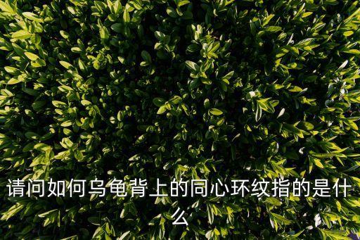 請問如何烏龜背上的同心環紋指的是什么