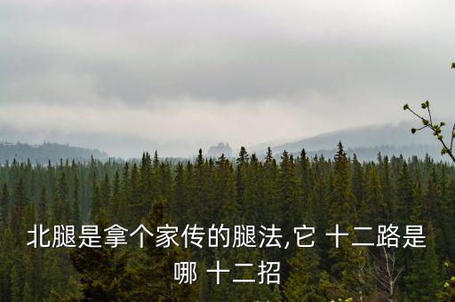 十二路譚腿,少林譚腿，十二路飛踢北腿