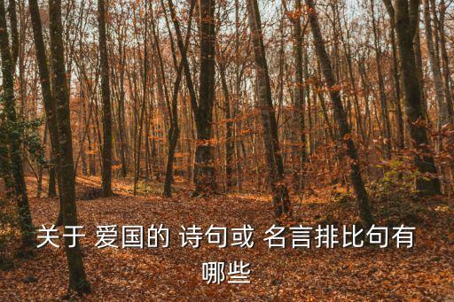 愛國名言詩句,魯迅名句詩句解讀:愛國主義就像慈善