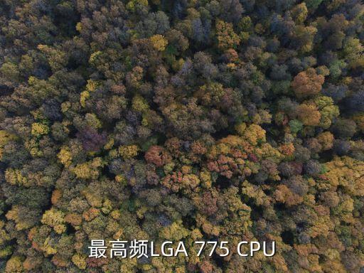 LGA775，最高頻LGA 775 CPU