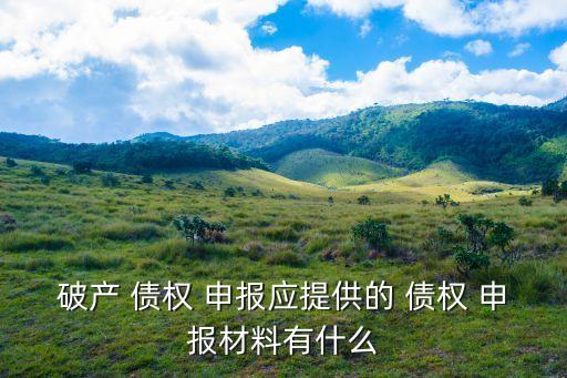 破產 債權 申報應提供的 債權 申報材料有什么